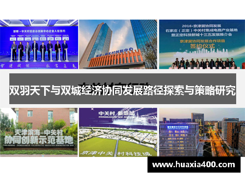 双羽天下与双城经济协同发展路径探索与策略研究
