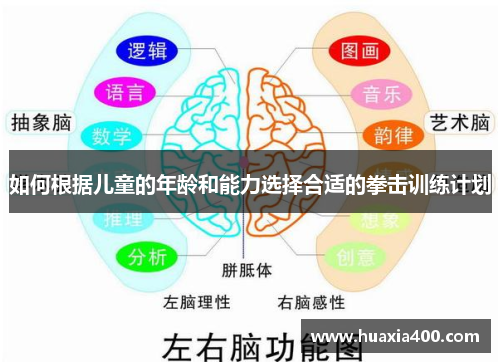 如何根据儿童的年龄和能力选择合适的拳击训练计划